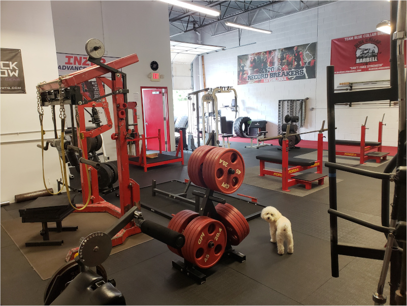 Image of Blue Collar Barbell